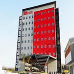 Ibis_Irapuato